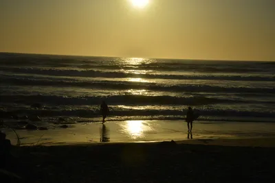 DSC_7284 (Large).JPG